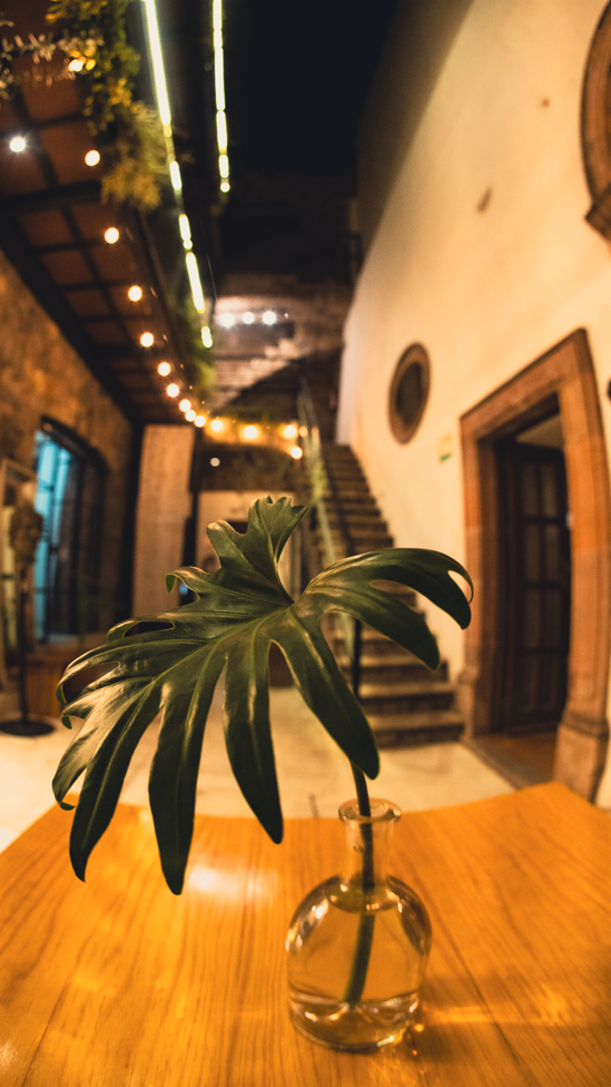 Patio central de El Hotel SMA